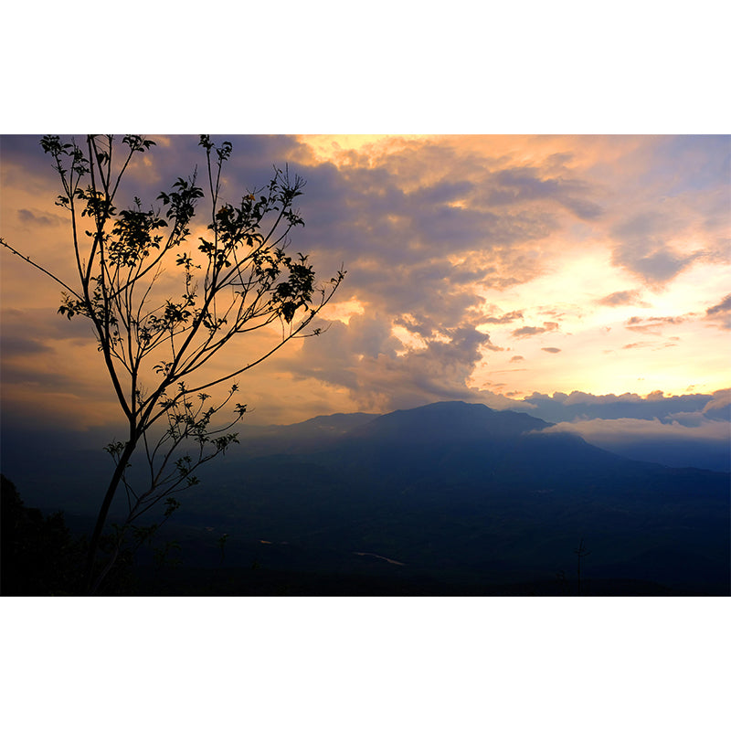 Contemporary Photography Style Sky Mural Wallpaper Mildew Resistant for Home