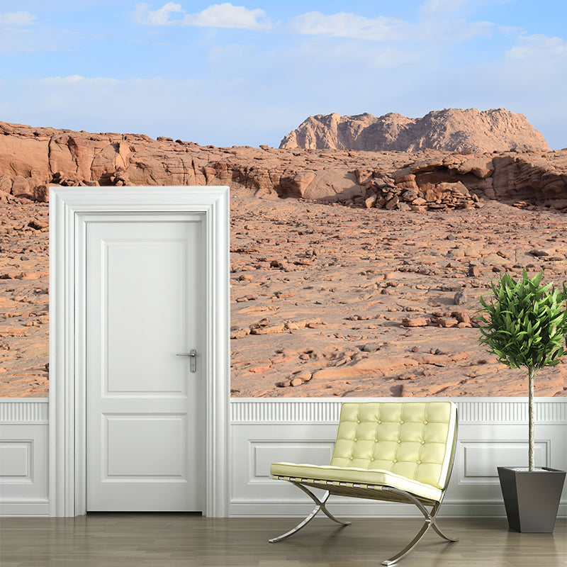 Contemporary Photography Style Desert Mural Mildew Resistant for Wall Decor