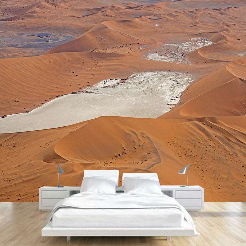Contemporary Photography Style Desert Mural Mildew Resistant for Wall Decor