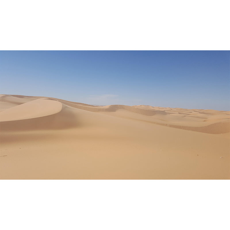 Home Decor Contemporary Photography Style Desert Mural Mildew Resistant