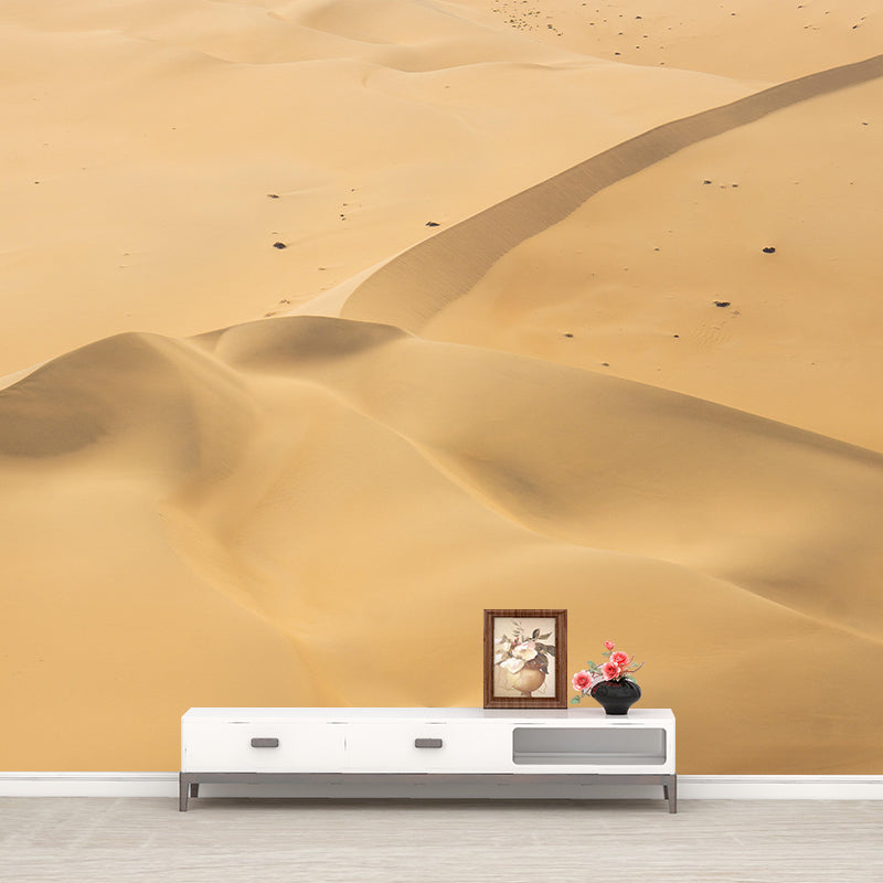Contemporary Photography Style Desert Mural Wallpaper Mildew Resistant Wall Covering