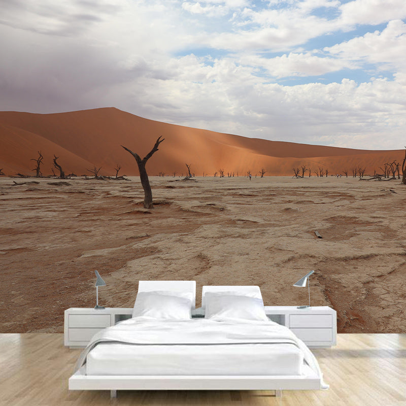 Contemporary Photography Style Desert Mural Wallpaper Mildew Resistant Wall Art