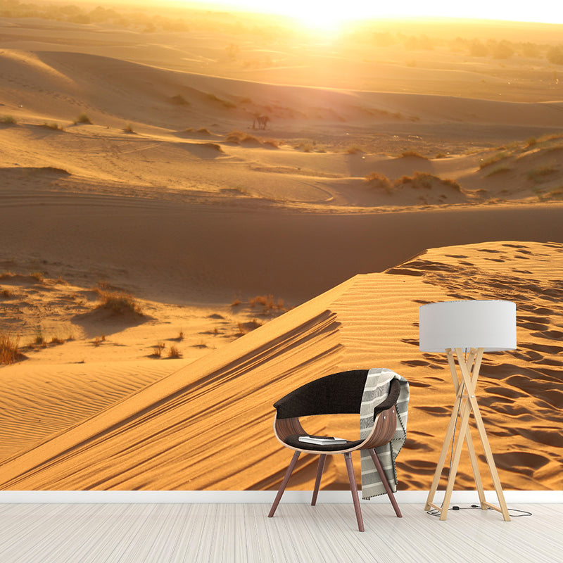 Contemporary Photography Style Desert Mural Wallpaper Mildew Resistant Wall Art