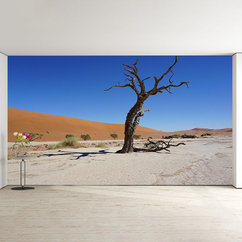 Desert Mural Contemporary Photography Style Wallpaper Mildew Resistant for Decoration