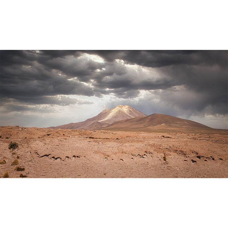 Desert Mural Contemporary Photography Style Wallpaper Mildew Resistant for Decoration