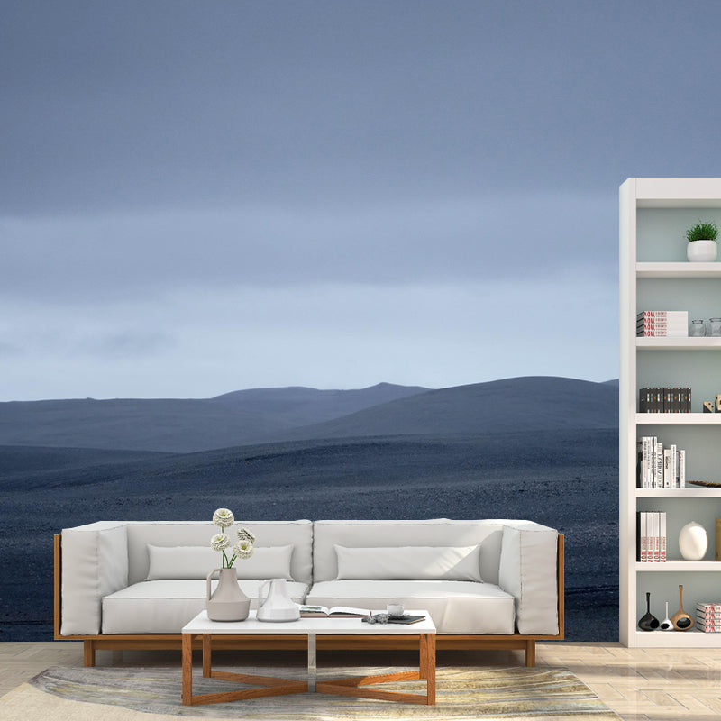 Desert Mural Contemporary Photography Style Wallpaper Mildew Resistant for Decoration