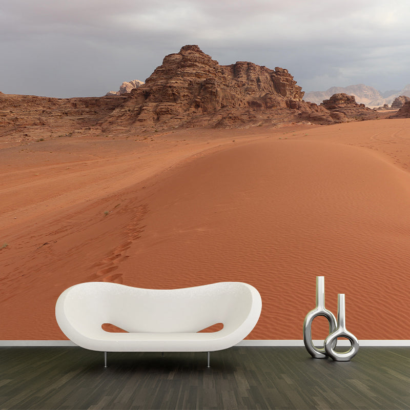 Desert Mural Contemporary Photography Style Wallpaper Mildew Resistant for Bedroom