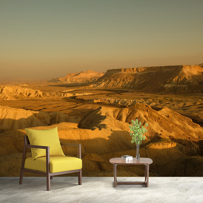 Contemporary Photography Style Desert Mural Wallpaper Mildew Resistant for Room