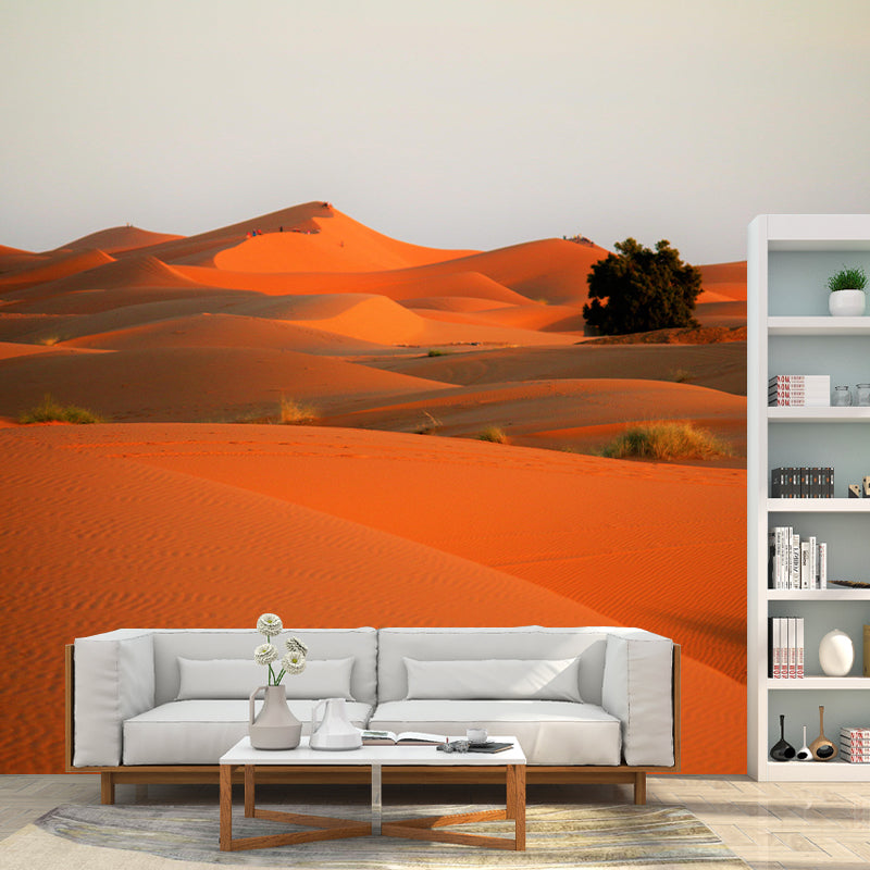 Wall Decor Contemporary Photography Style Desert Mural Wallpaper Mildew Resistant