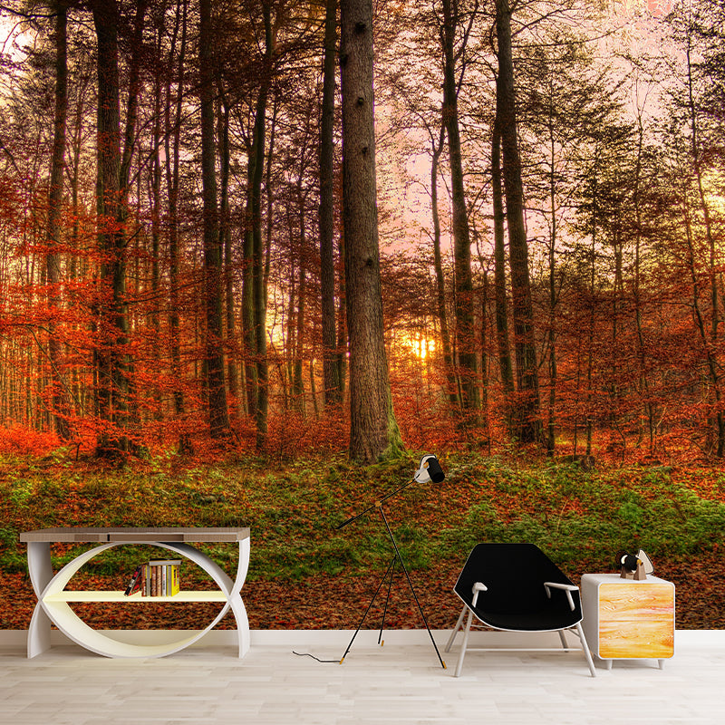 Contemporary Photography Style Forest Mural Wallpaper Mildew Resistant for Dining Room