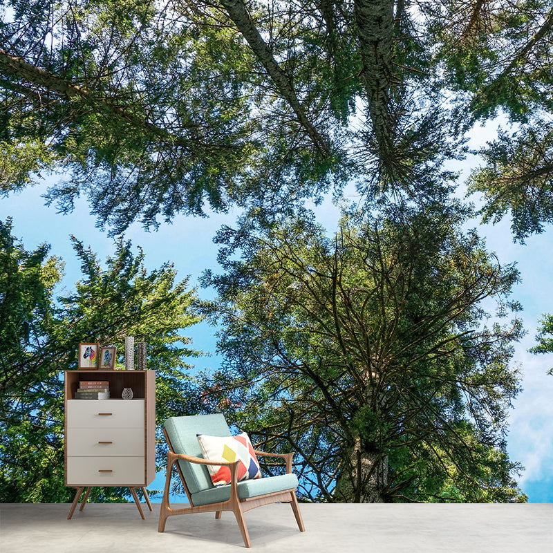 Contemporary Photography Style Forest Mural Wallpaper Mildew Resistant for Dining Room