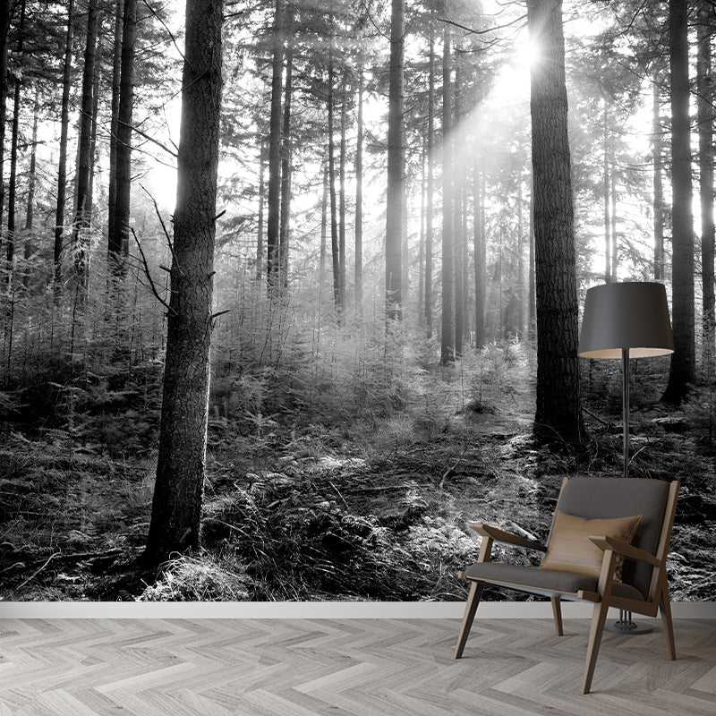 Contemporary Photography Style Forest Mural Wallpaper Mildew Resistant for Dining Room