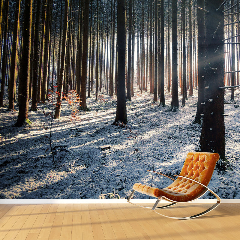 Vivid Photography Style Forest Mural Wallpaper Mildew Resistant for Living Room