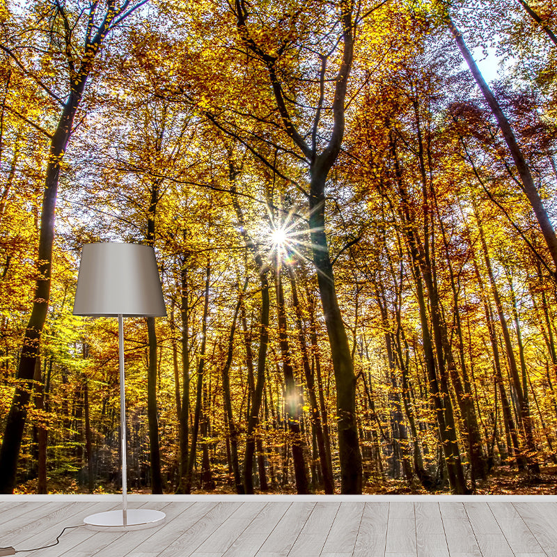 Vivid Photography Style Forest Mural Wallpaper Mildew Resistant for Living Room