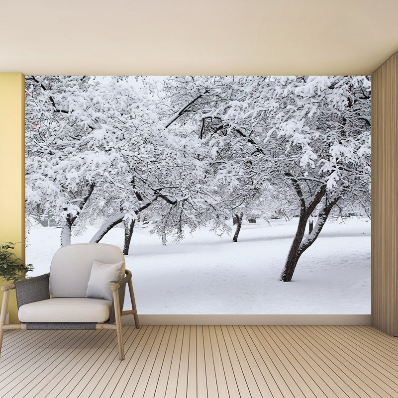 Contemporary Photography Style Forest Mural Wallpaper Mildew Resistant for Bedroom