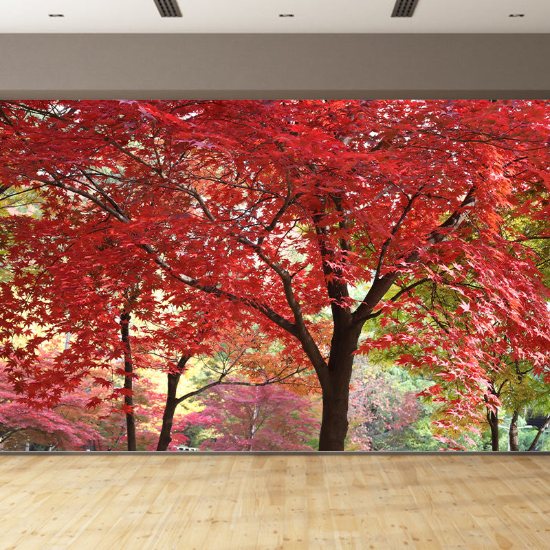 Contemporary Photography Style Forest Mural Wallpaper Mildew Resistant for Bedroom