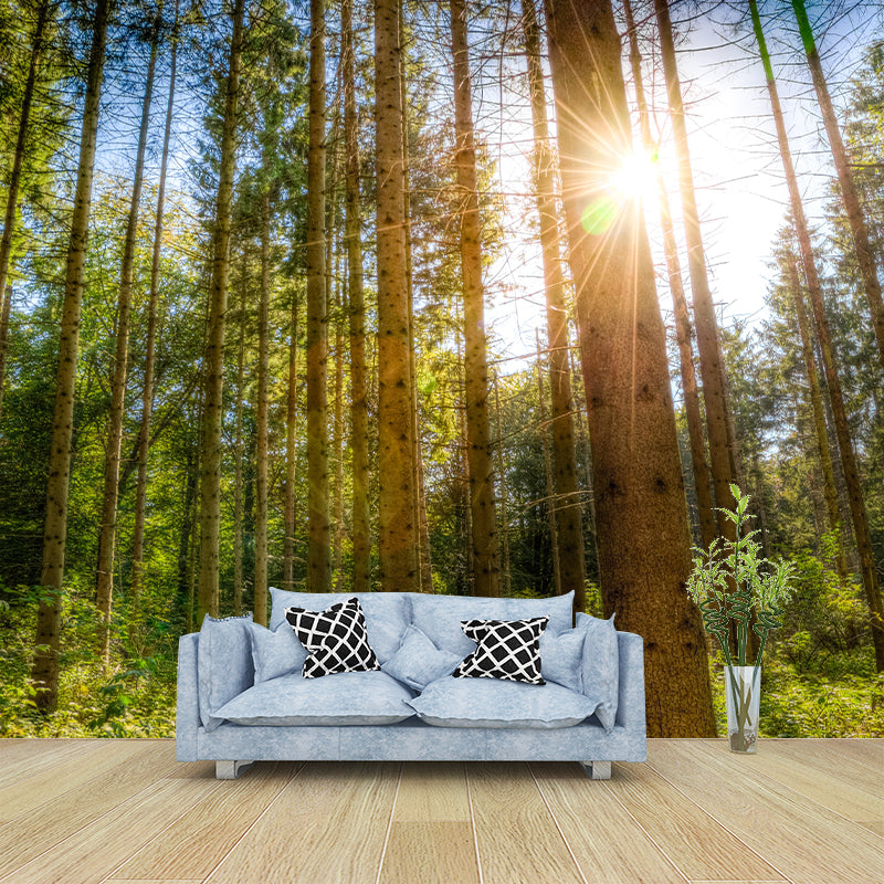 Nature Photography Style Forest Mural Wallpaper Mildew Resistant for Room