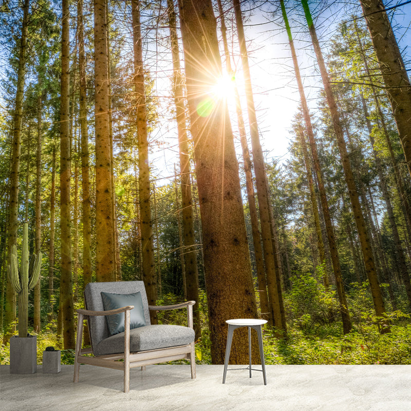 Nature Photography Style Forest Mural Wallpaper Mildew Resistant for Room