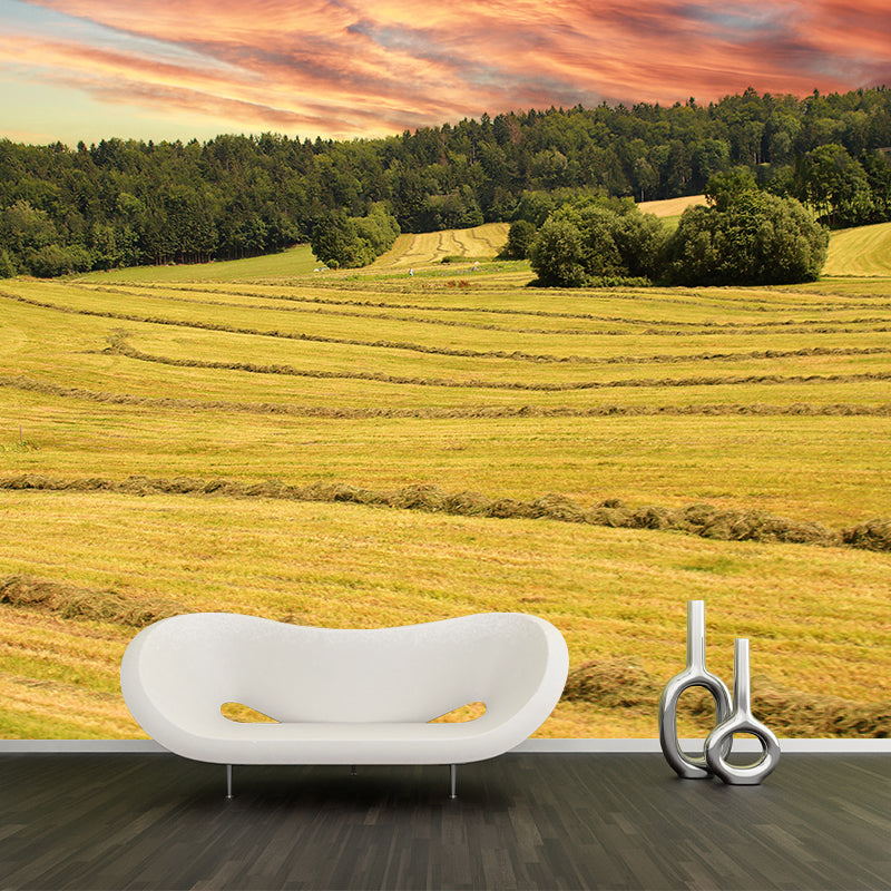 Nature Photography Style Forest Mural Wallpaper Mildew Resistant for Room