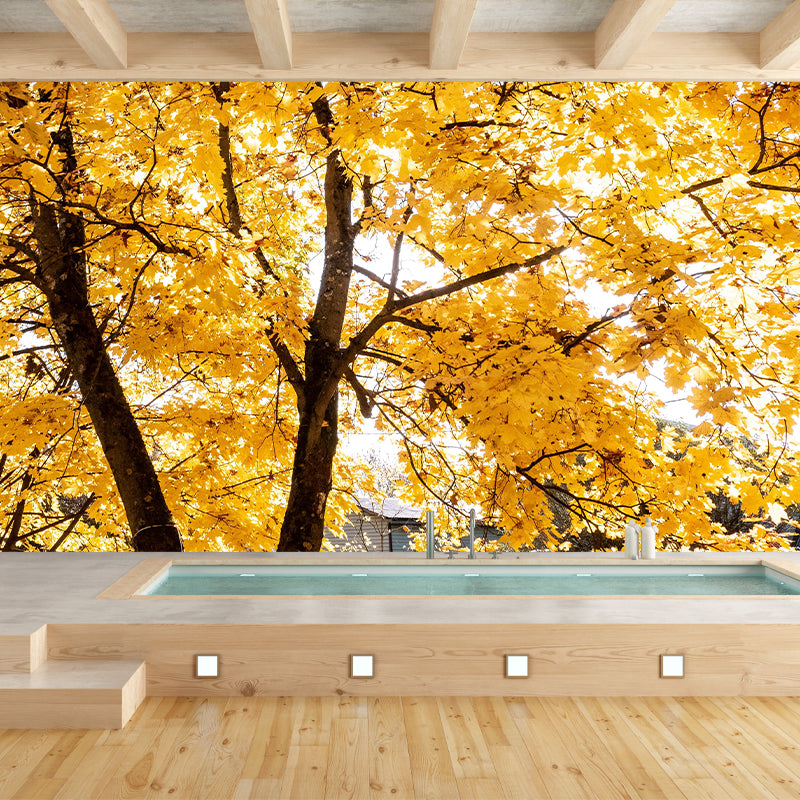 Contemporary Photography Style Forest Mural Wallpaper Mildew Resistant for Decoration