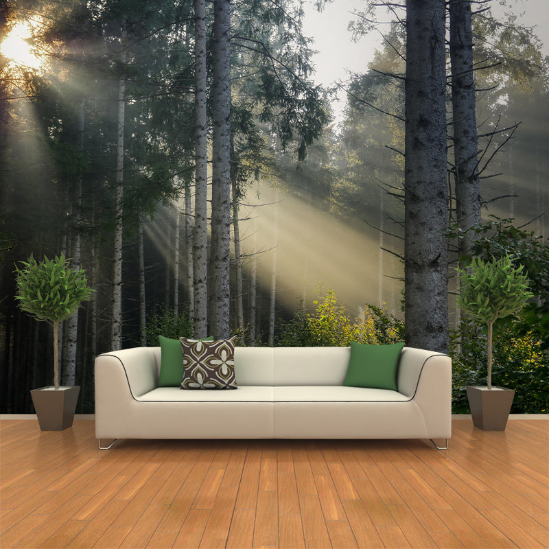 Contemporary Photography Style Forest Mural Wallpaper Mildew Resistant for Decoration