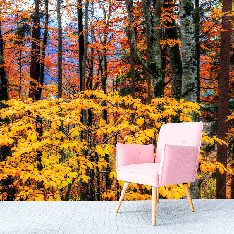 Contemporary Photography Style Forest Mural Wallpaper Mildew Resistant for Decoration