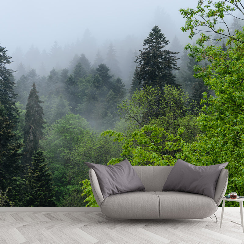 Contemporary Photography Style Forest Mural Wallpaper Mildew Resistant Wall Covering