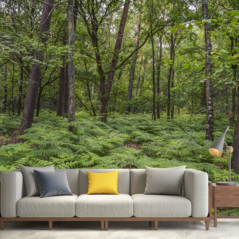 Contemporary Photography Style Forest Mural Wallpaper Mildew Resistant Wall Covering