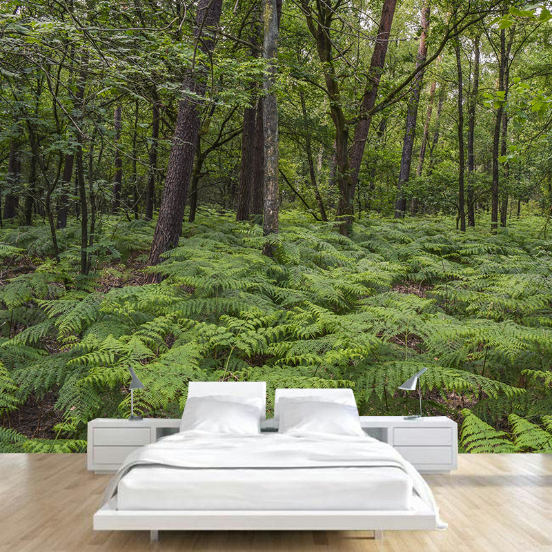 Contemporary Photography Style Forest Mural Wallpaper Mildew Resistant Wall Covering