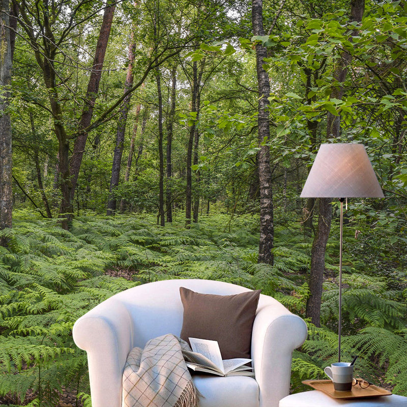 Contemporary Photography Style Forest Mural Wallpaper Mildew Resistant Wall Covering