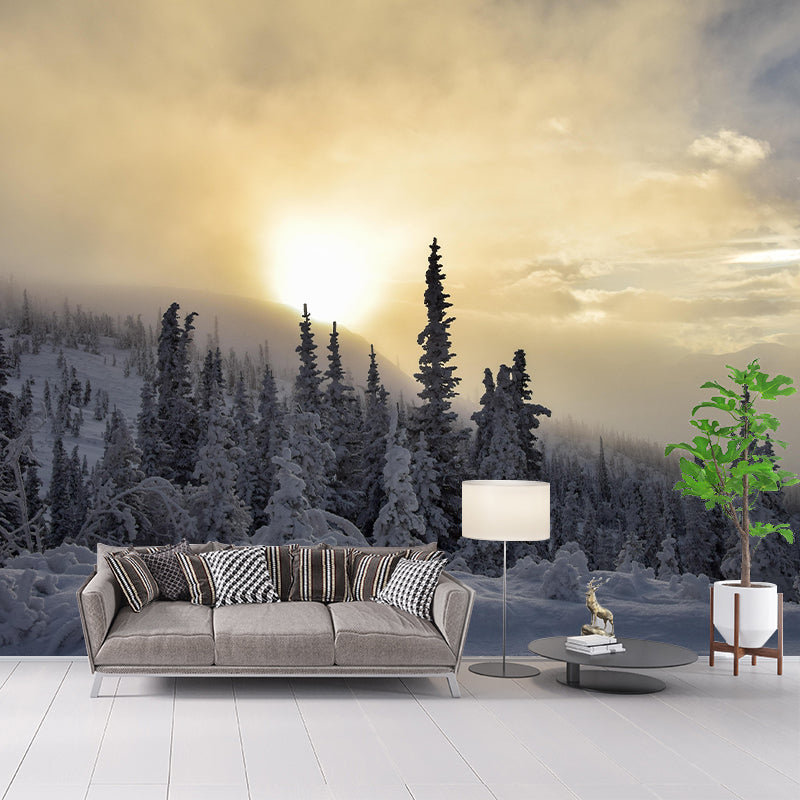 Contemporary Photography Style Forest Mural Wallpaper Mildew Resistant Wall Art