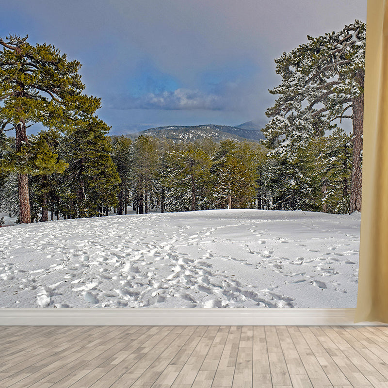 Contemporary Photography Style Forest Mural Wallpaper Mildew Resistant Wall Art