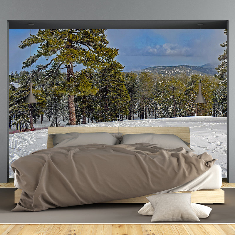 Contemporary Photography Style Forest Mural Wallpaper Mildew Resistant Wall Art