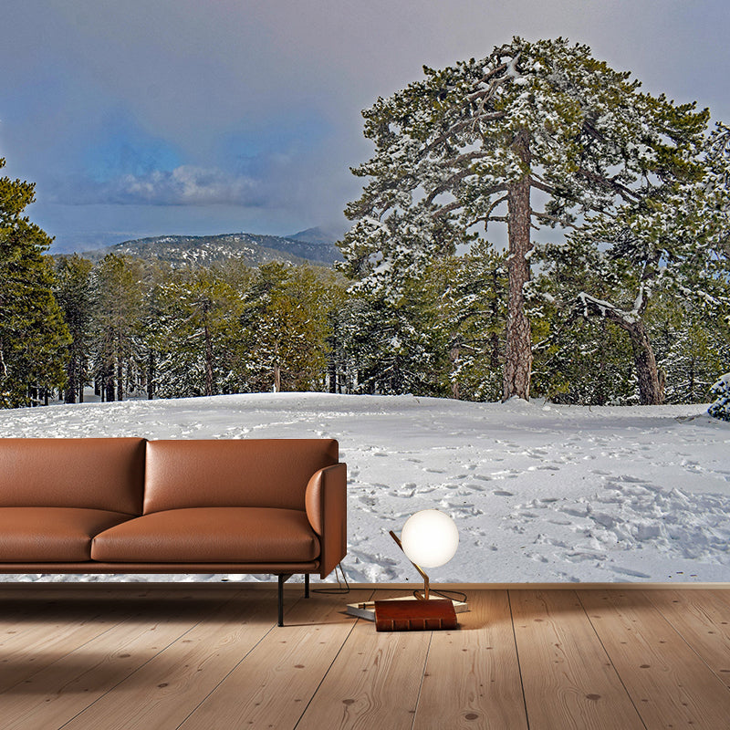 Contemporary Photography Style Forest Mural Wallpaper Mildew Resistant Wall Art