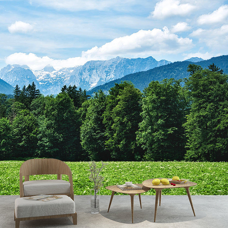 Contemporary Photography Style Forest Mural Wallpaper Mildew Resistant for Wall Decor