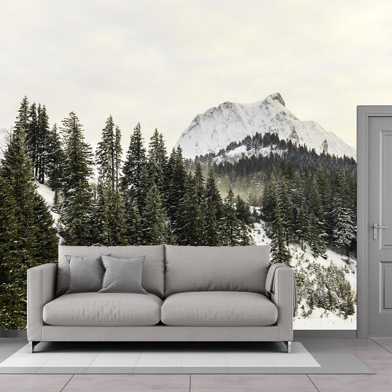 Contemporary Photography Style Forest Mural Wallpaper Mildew Resistant for Wall Decor