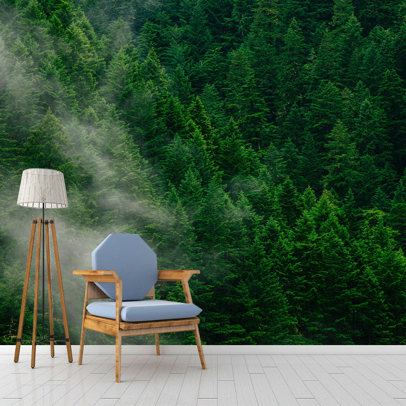 Contemporary Photography Style Forest Mural Wallpaper Mildew Resistant for Home