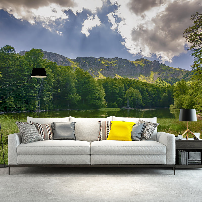 Contemporary Photography Style Forest Mural Wallpaper Mildew Resistant for Home Decor