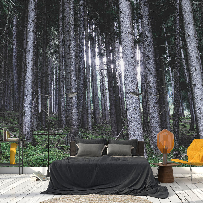 Contemporary Photography Style Forest Mural Wallpaper Mildew Resistant for Home Decor