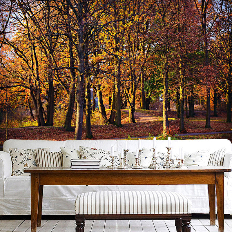 Contemporary Photography Style Forest Mural Wallpaper Mildew Resistant for Home Decor