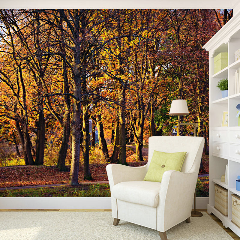 Contemporary Photography Style Forest Mural Wallpaper Mildew Resistant for Home Decor