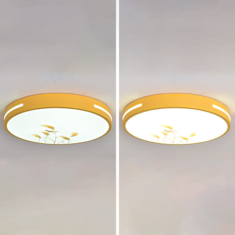 Modern Macaroon LED Ceiling Lamp Iron Round Shape Flush Mount for Bedroom