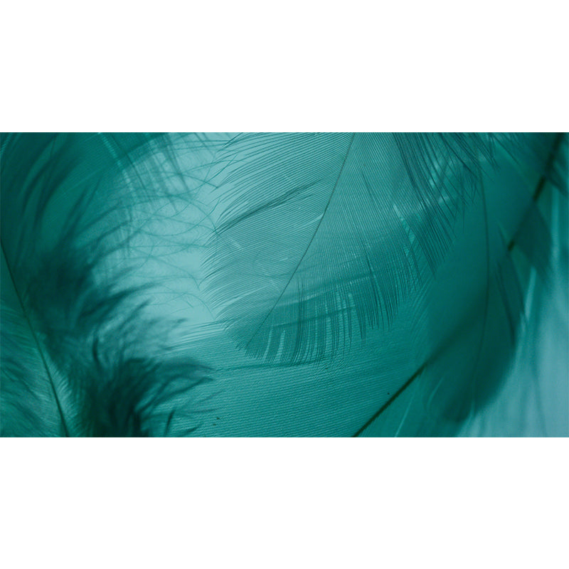 Modern Fluffy Feather Wall Murals for Living Room Gust Room, Water Resistant