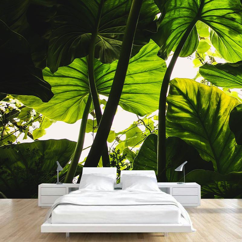 Tropical Leaves Mural Stain-Resistant Wall Decor for Guest Room, Personalized Size