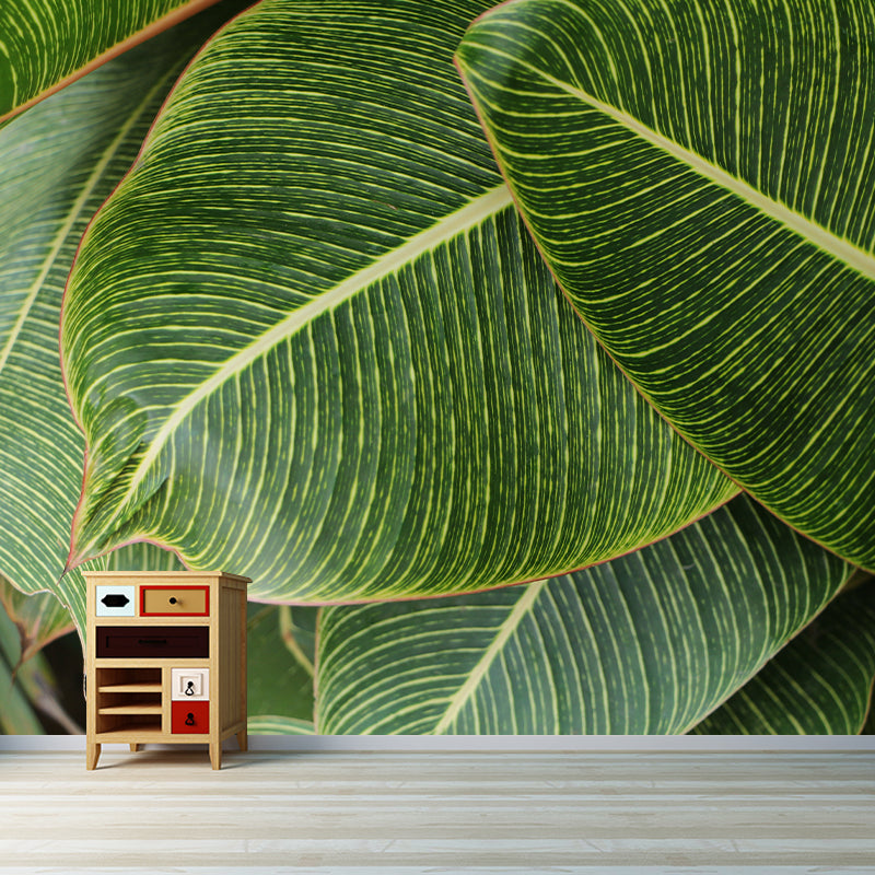 Tropical Leaves Mural Stain-Resistant Wall Decor for Guest Room, Personalized Size