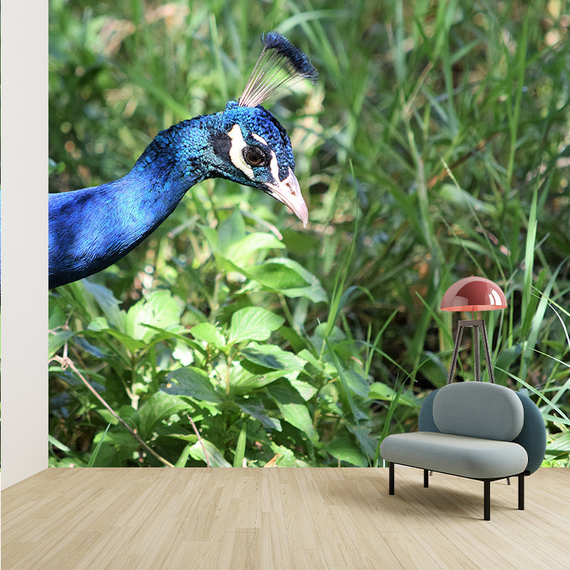 Peacock Customized Contemporary Style Mural Water Resistant for Living Room