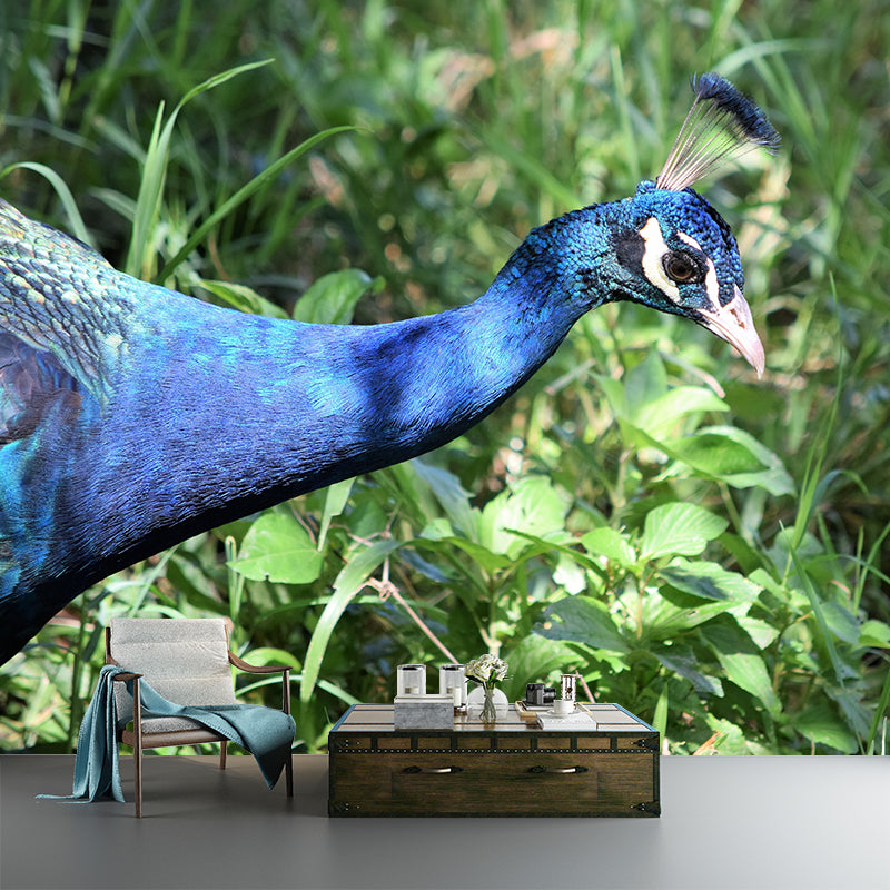 Peacock Customized Contemporary Style Mural Water Resistant for Living Room