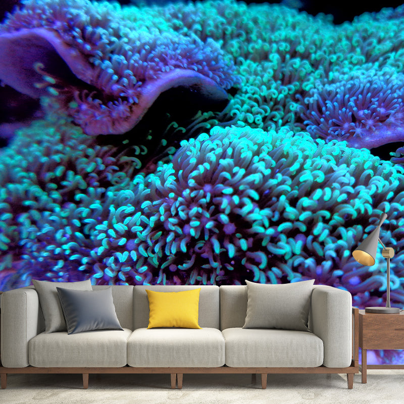 Sea Creatures Wall Mural for Sleeping Room, Water Resistant, Made to Measure