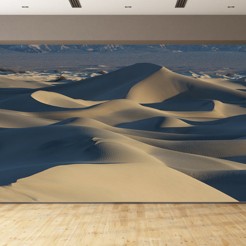 Barren Area Photography Desert Mural Modernism Wall Covering for Decoration