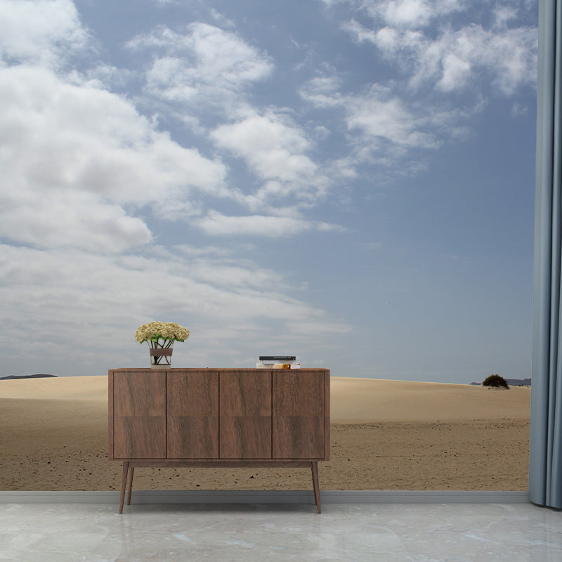 Barren Area Photography Desert Mural Modernism Wall Covering for Decoration